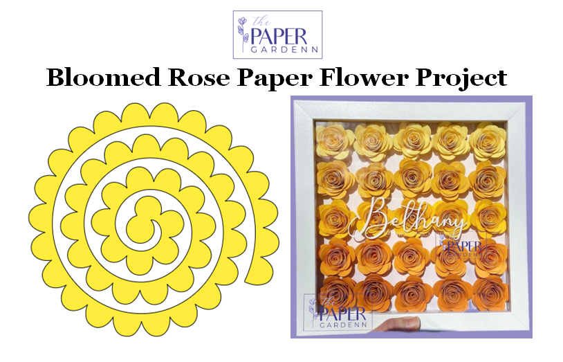 Bloomed Rose Paper Flower Template Project